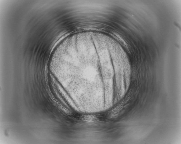 X0000095880798200802081053