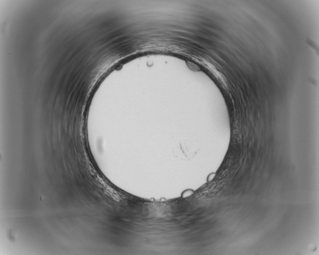 X0000095880799200802081053