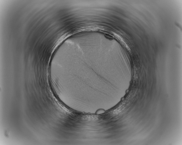 X0000095880802200802081053