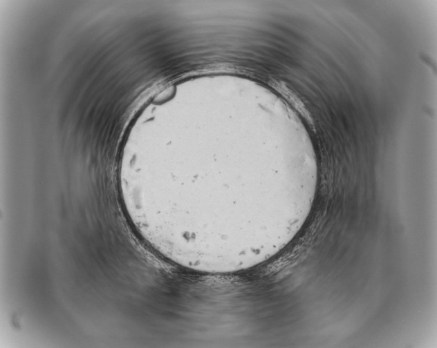 X0000095880805200802081053