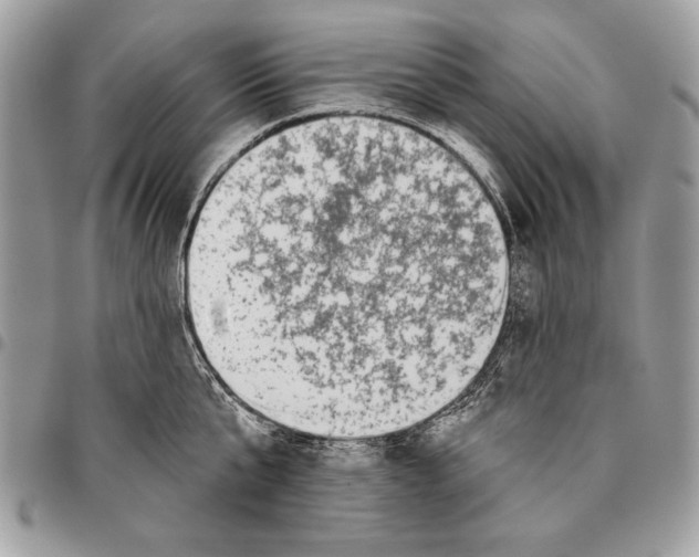 X0000095880807200802081053