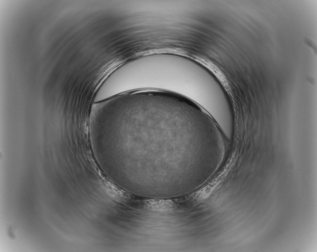 X0000095880809200802081053