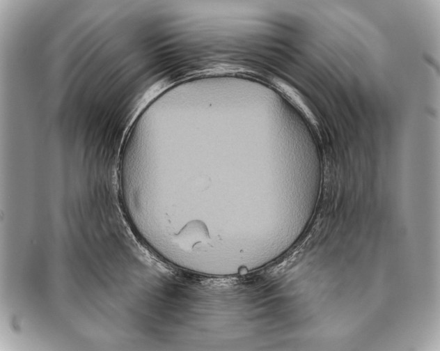 X0000095880810200802081053