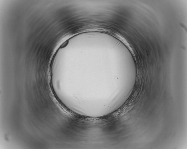 X0000095880811200802081053