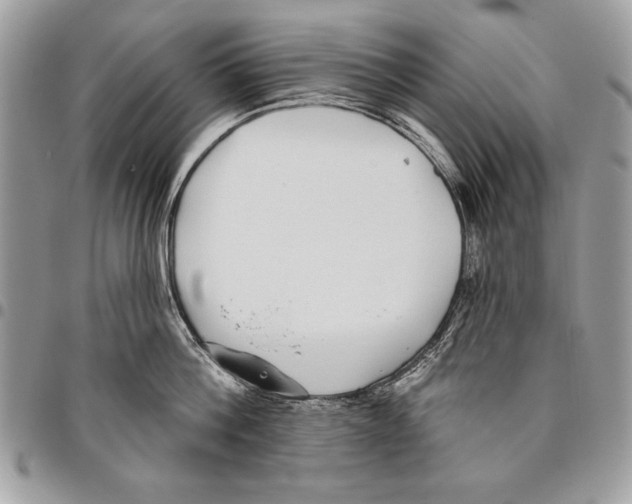 X0000095880812200802081053