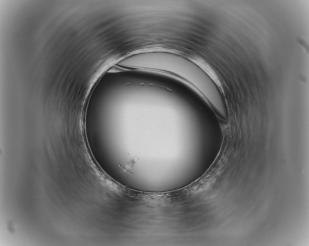 X0000095880813200802081053