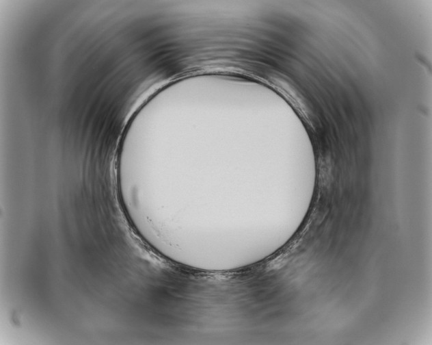 X0000095880814200802081053