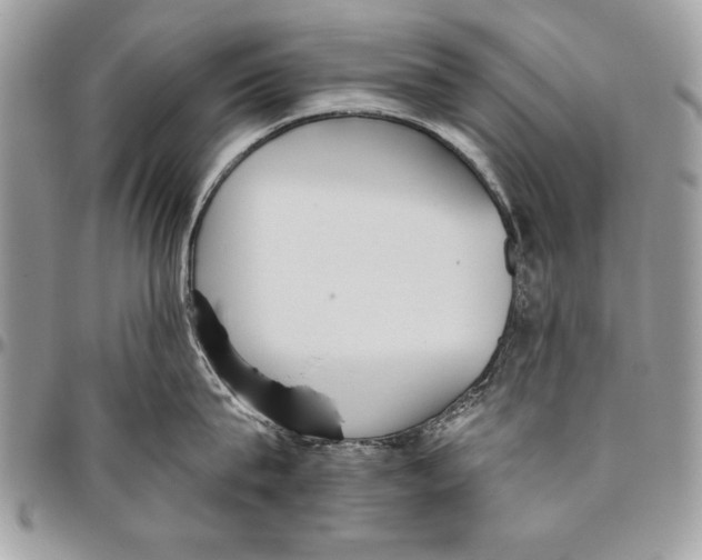 X0000095880815200802081053