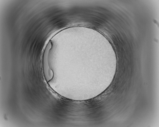 X0000095880816200802081053