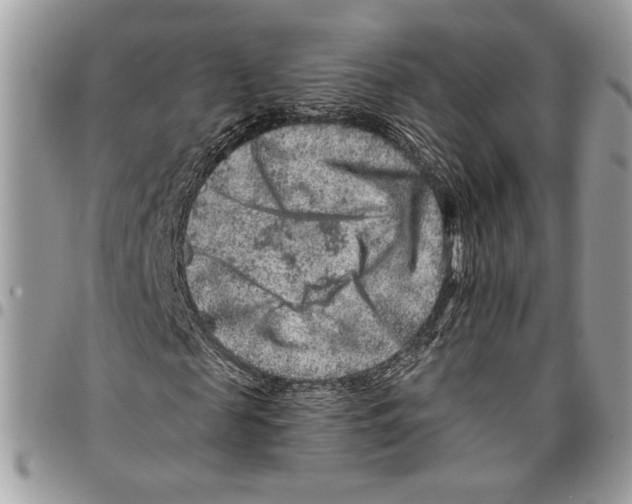 X0000095880817200802081052