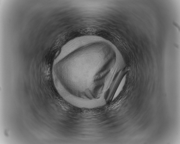 X0000095880818200802081052