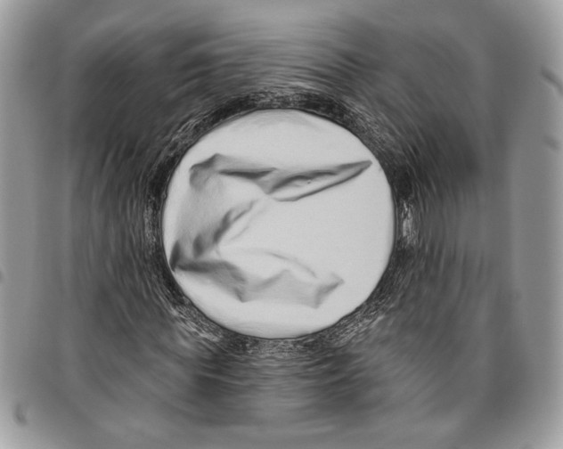 X0000095880819200802081052