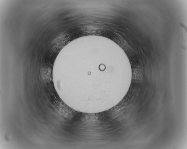 X0000095880820200802081052