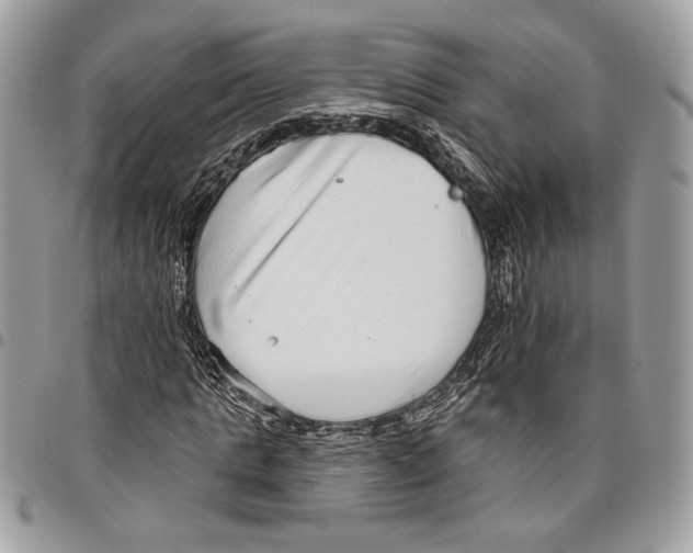 X0000095880821200802081052