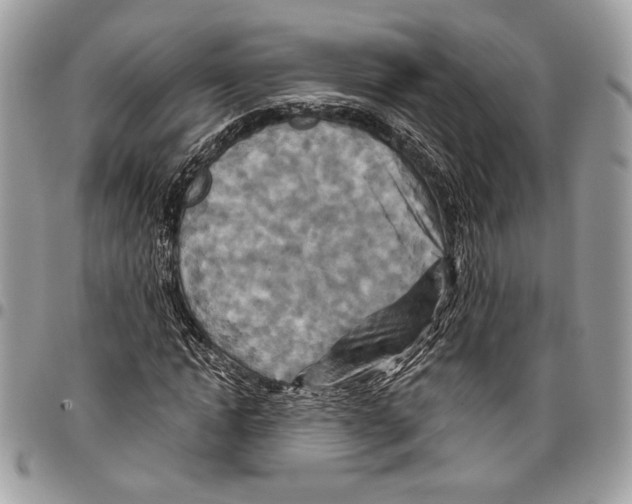 X0000095880822200802081052