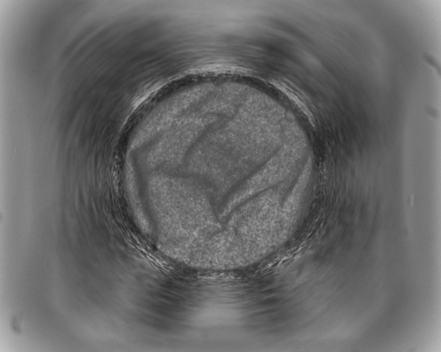 X0000095880823200802081052