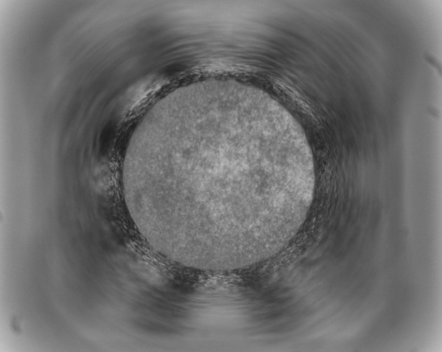 X0000095880824200802081052