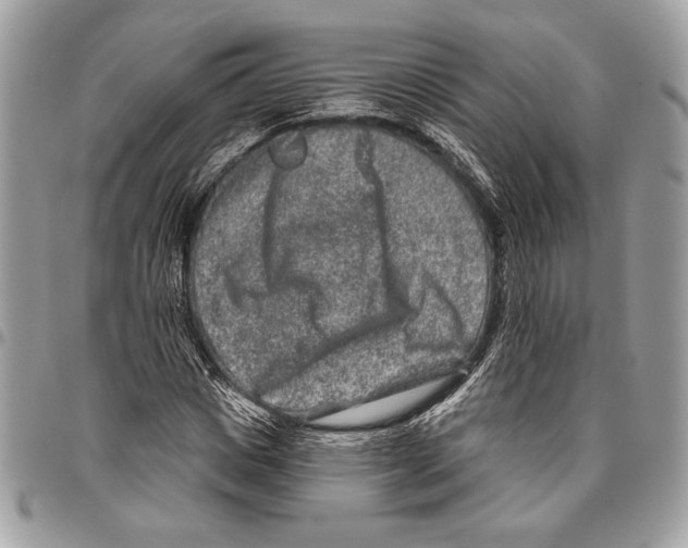 X0000095880825200802081052