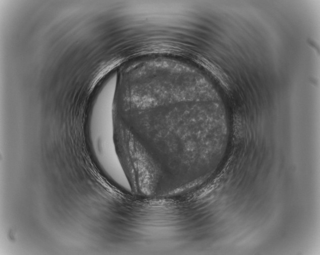 X0000095880826200802081052