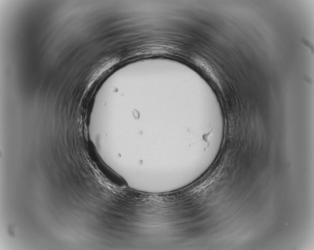 X0000095880827200802081052