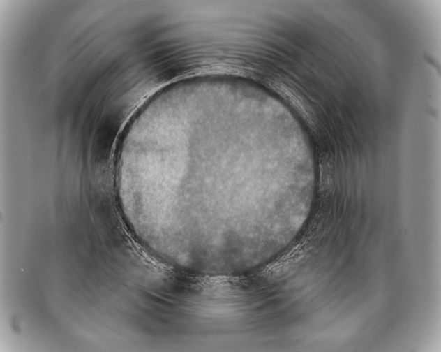 X0000095880828200802081052