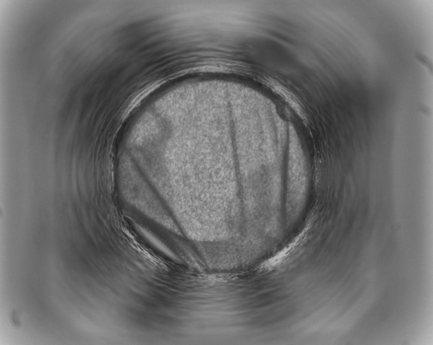 X0000095880829200802081052