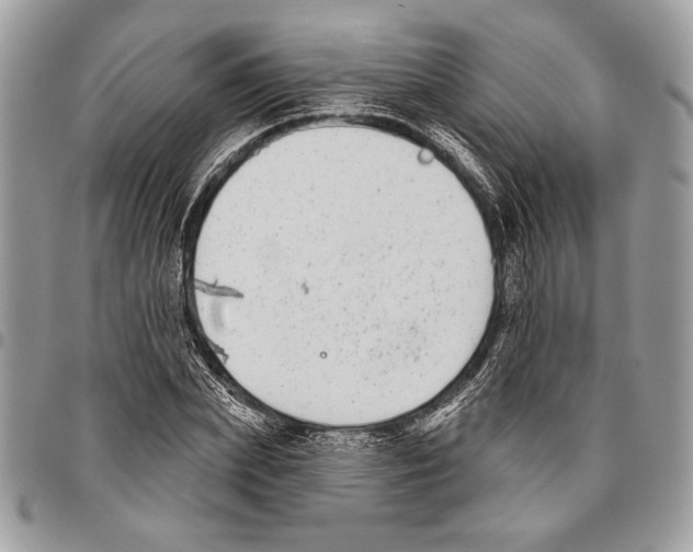 X0000095880831200802081052