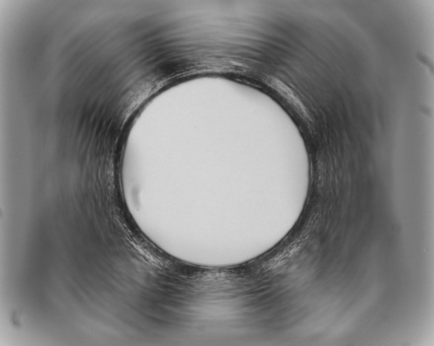 X0000095880834200802081052