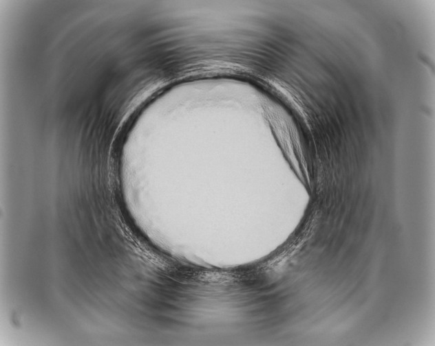 X0000095880835200802081052