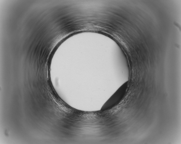 X0000095880838200802081052