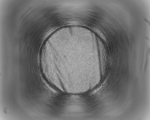 X0000095880839200802081052