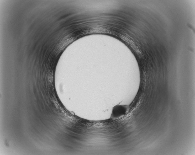 X0000095880841200802081052