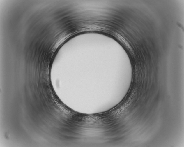 X0000095880842200802081052