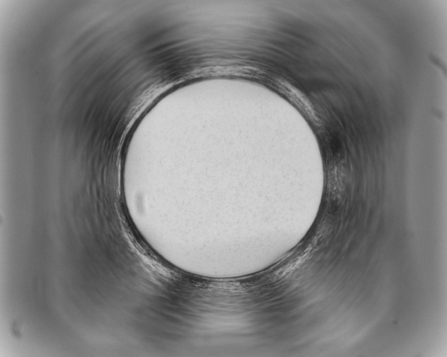 X0000095880844200802081053