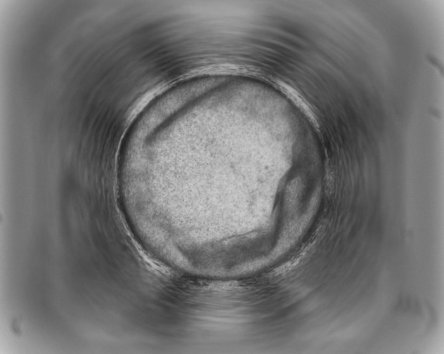 X0000095880845200802081053