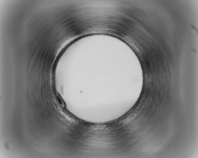 X0000095880846200802081053