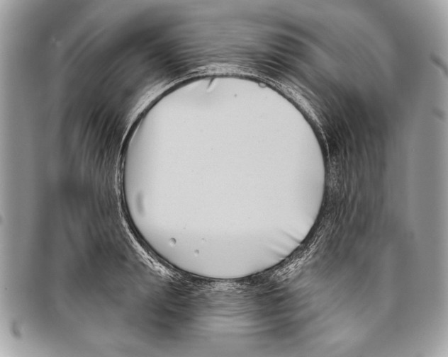 X0000095880847200802081053