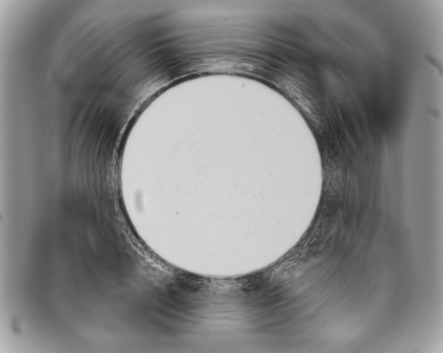 X0000095880848200802081053