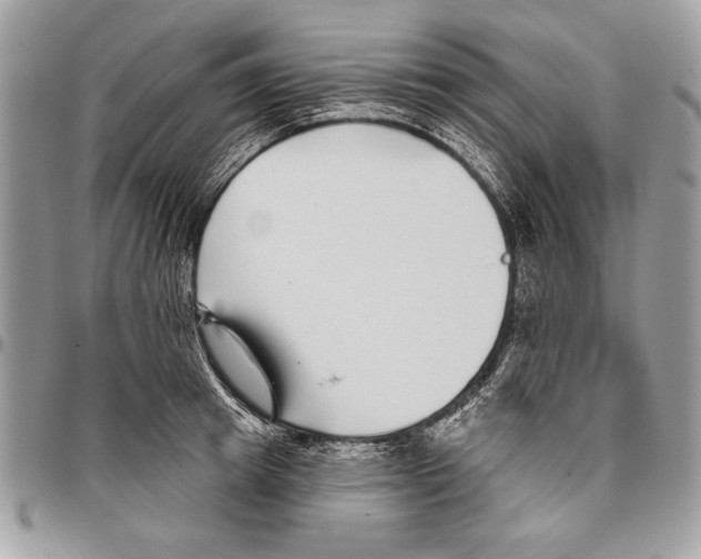 X0000095880849200802081053