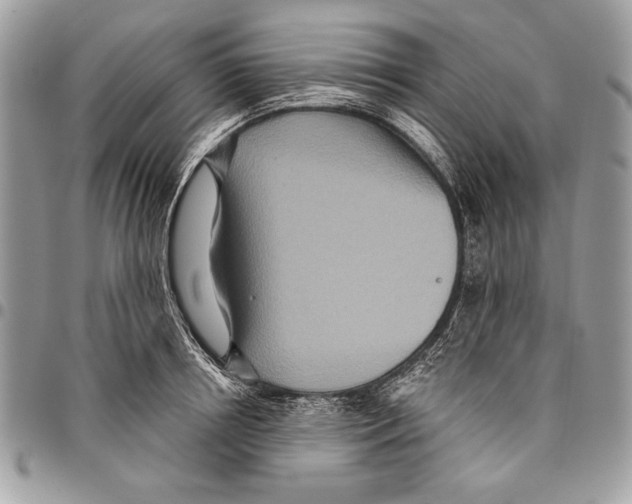 X0000095880850200802081053