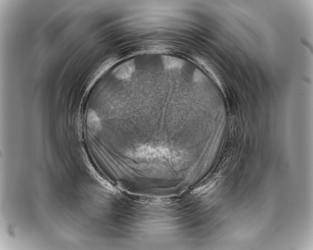 X0000095880851200802081053