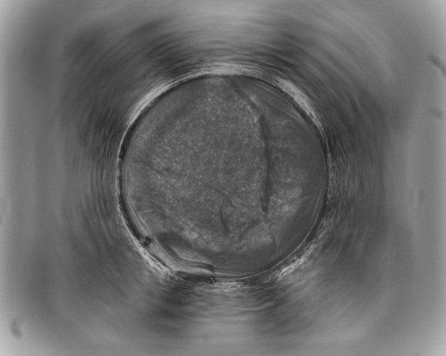 X0000095880853200802081053