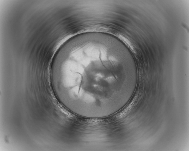 X0000095880854200802081053