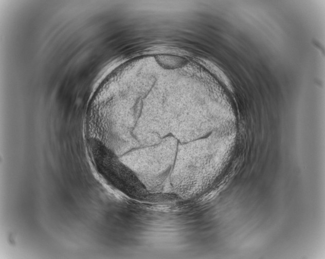 X0000095880855200802081053