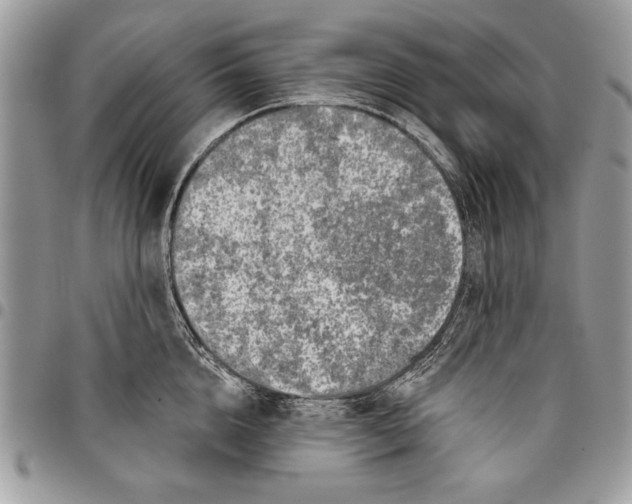 X0000095880856200802081053