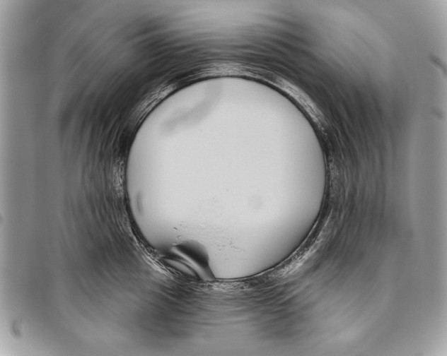 X0000095880857200802081053