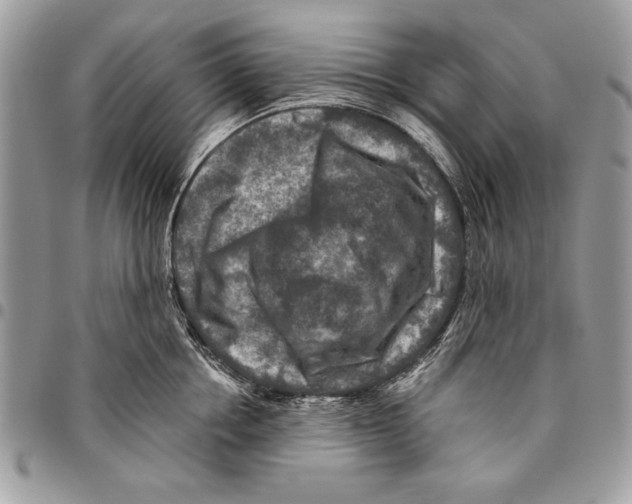 X0000095880858200802081053