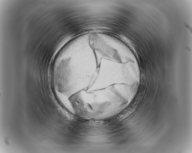 X0000095880859200802081053