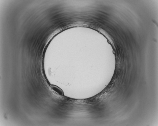 X0000095880861200802081053