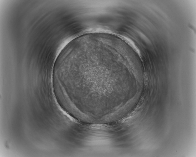 X0000095880863200802081053